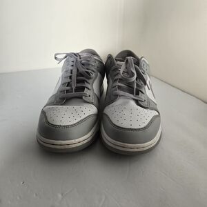 Nike Dunk Low Top 12 M Men's Gray Sneakers